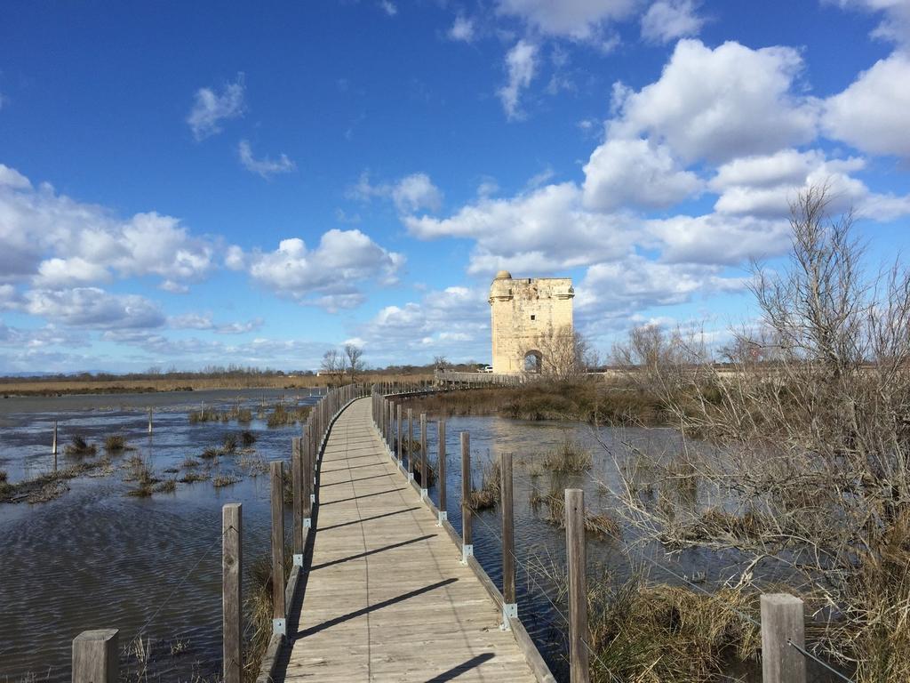 Vila Mas Viala Vauvert Exteriér fotografie